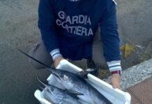 Palmi, segnala a Polizia scomparsa amico durante pesca, ma sub riemerge e viene sanzionato