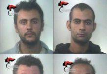 Quattro arresti per furto aggravato