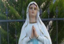 La FIDELITAS dona l’illuminazione natalizia alla Madonnina della Collinetta
