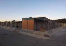 Reggio Calabria – Riso (Foresta che Avanza), Canile Mortara. Dott.ssa Putortì si dimetta, comune trovi una soluzione concreta