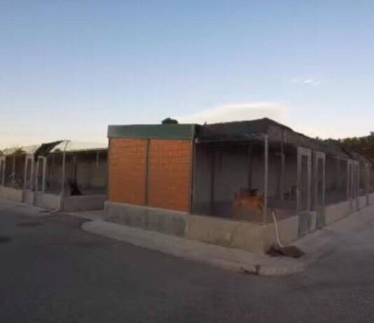 Reggio Calabria – Riso (Foresta che Avanza), Canile Mortara. Dott.ssa Putortì si dimetta, comune trovi una soluzione concreta