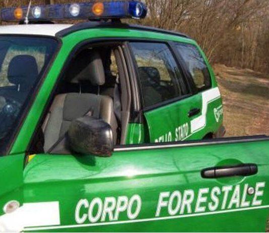 Incendi nel reggino, 18 persone denunciate all’autorità giudiziaria