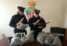 Nascondeva 6 kg di marijuana, arrestato trentaseienne nel reggino