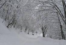 Gelo in Calabria, -17 Sila, -7,8 Cosenza