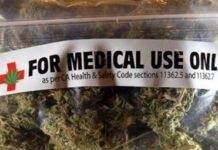 Cannabis Terapeutica, parla il primo farmacista che la vende: La cannabis di strada ha un contenuto di principio attivo molto più elevato di quella che vendo io”