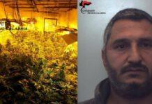 1 arresto e 3 persone denunciate per produzione, traffico e detenzione illecita di sostanze stupefacenti.