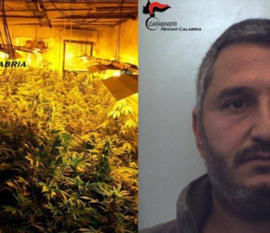 1 arresto e 3 persone denunciate per produzione, traffico e detenzione illecita di sostanze stupefacenti.