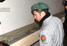 Antibracconaggio, Operazione Free Wild Life in provincia di Reggio Calabria
