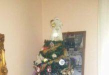 Umbriatico, l’albero di Natale più bello: vince Carmela Tosto Primo posto per un grandissimo albero di Natale con un suggestivo presepe che circonda la base
