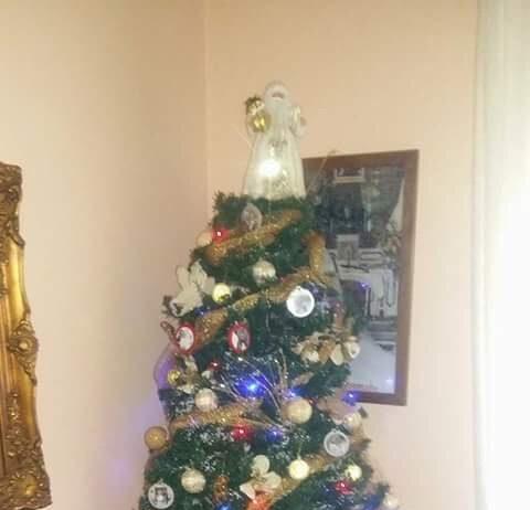 Umbriatico, l’albero di Natale più bello: vince Carmela Tosto Primo posto per un grandissimo albero di Natale con un suggestivo presepe che circonda la base