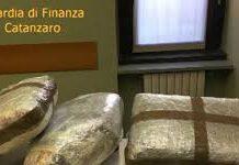 Traffico internazionale di droga, Operazione Stammer VIDEO