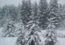 Calabria, allerta meteo- possibili nevicate anche bassa quota