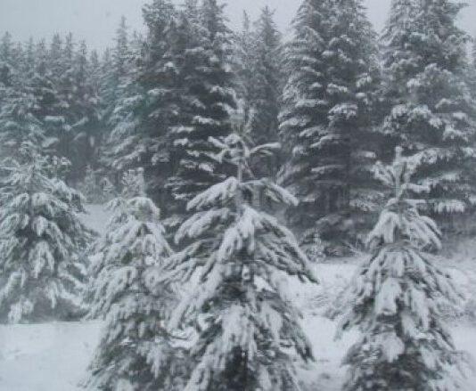 Calabria, allerta meteo- possibili nevicate anche bassa quota