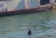 Immigrato si suicida in Canal Grande, nessuno interviene-VIDEO