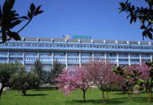 Asp Catanzaro, LAMEZIA, Eseguito un doppio espianto di cornea