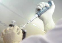 Nuove speranze per combattere il tumore al pancreas