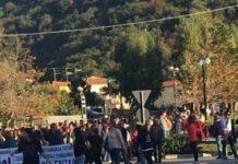 Proteste per cane ucciso a Sangineto, 21indagati