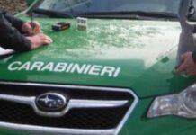 Sequestrati fabbricati abusivi