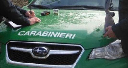 Sequestrati fabbricati abusivi