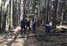 Controlli Carabinieri, arrestato 59enne per furto aggravato