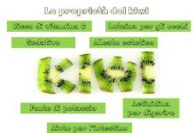 Zmedica presenta: Sua Maestà il kiwi