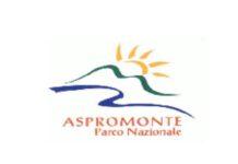 Inquinamento Luminoso, Bombino: “Enti locali rispettino la natura ed il cielo”