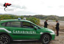 Sorpresi a trafugare materiale litoide da una ditta di inerti confiscata alla criminalità organizzata e gestita dall’Agenzia Nazionale dei Beni Confiscati. Una persona arrestata, due denunciate.