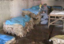 Scoperta conceria abusiva