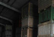 Sequestrati mille quintali di patate