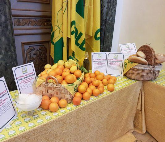 Molinaro: un semaforo rosso sulla rete criminale