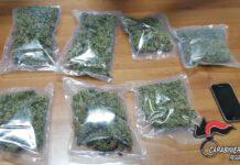 Delianuova, 20enne trovato con mezzo kg di marijuana, arrestato