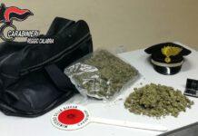Mezzo kg di marijuana occultata in borsone