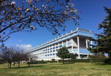 Disponibili vaccini antirosolia in donne non immuni all’ospedale di Lamezia