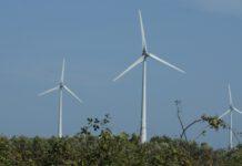 Sequestro parco eolico