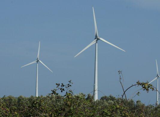 Sequestro parco eolico