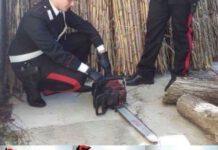 Tre arresti ad Oppido Mamertina per furto aggravato