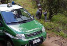 Utilizzo abusivo aree demaniali, 2 denunce