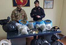 Rinvenuti 40 kg di marijuana nel sottotetto di una casa