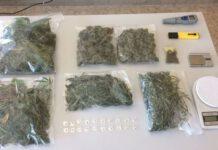 Scoperto laboratorio di marijuana