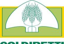 Coldiretti: allarme furti nelle aziende agricole