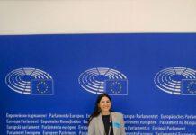 Katia Tripodo (Gd): Primarie Pd necessarie per avviare fase di ricostruzione su tutto il territorio