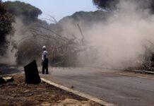 Incendia giardino di casa del vicino, denunciato