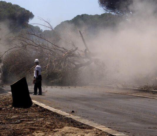 Incendia giardino di casa del vicino, denunciato