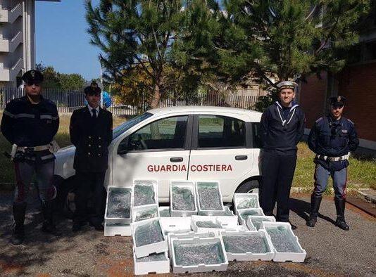 Sequestrato su A2(sa-rc) prodotto ittico non tracciato