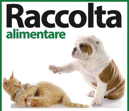 Reggio Calabria – Venerdì 7 raccolta alimentare de la Foresta Che Avanza per cani e gatti