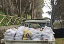 Furto aggravato di 900kg di pigne nel Parco Nazionale Aspromonte
