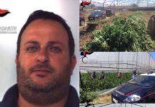 Gioia Tauro, rinvenute oltre 15mila piante di marijuana- arrestato rosarnese