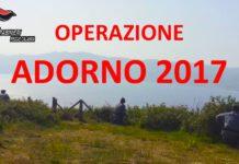 Fenomeno bracconaggio, Operazione Adorno