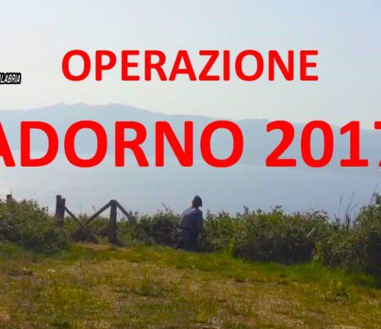 Fenomeno bracconaggio, Operazione Adorno