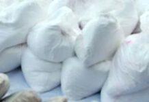 Smantellato traffico cocaina, 21 arresti